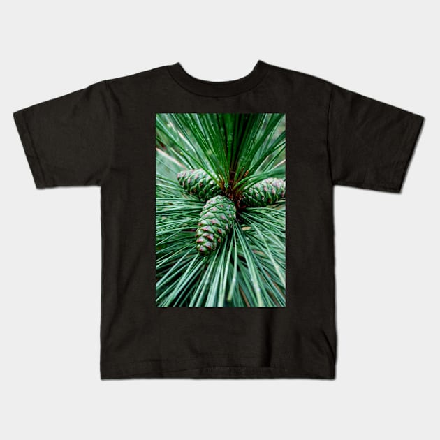 Pine Cones Kids T-Shirt by LaurieMinor